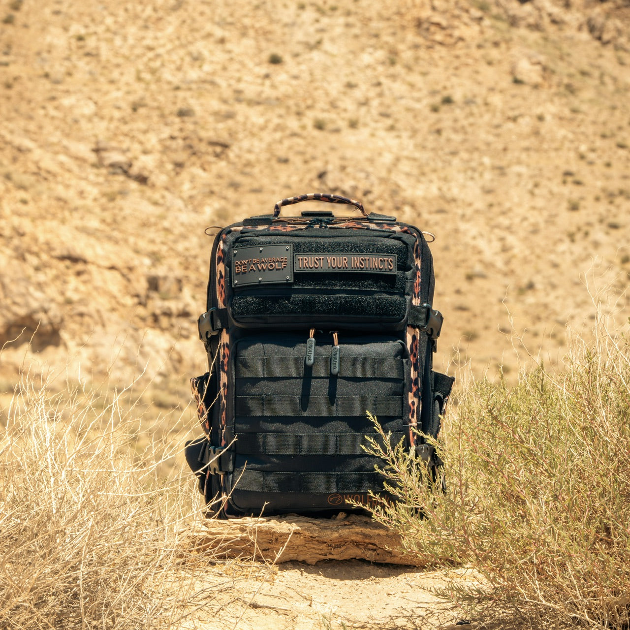 25L Backpack Alpha Black Leopard Limited Edition Online Hot Sale